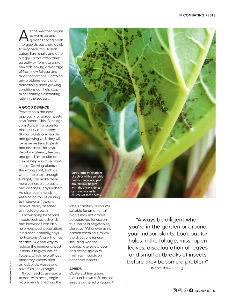 Bunnings Bunnings Magazine August 2026 — page 33
