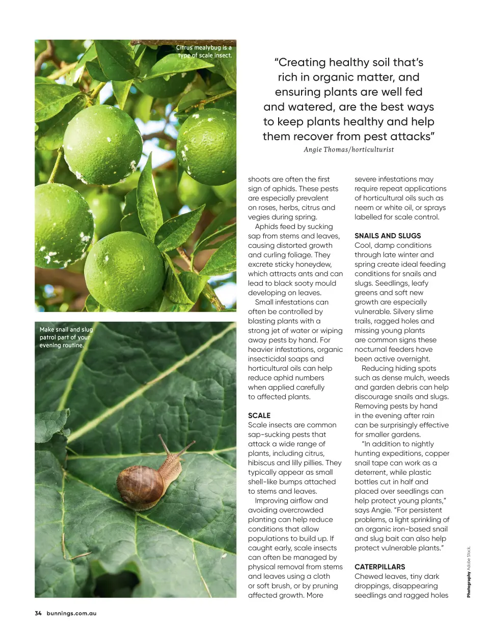 Bunnings Bunnings Magazine August 2026 — page 34
