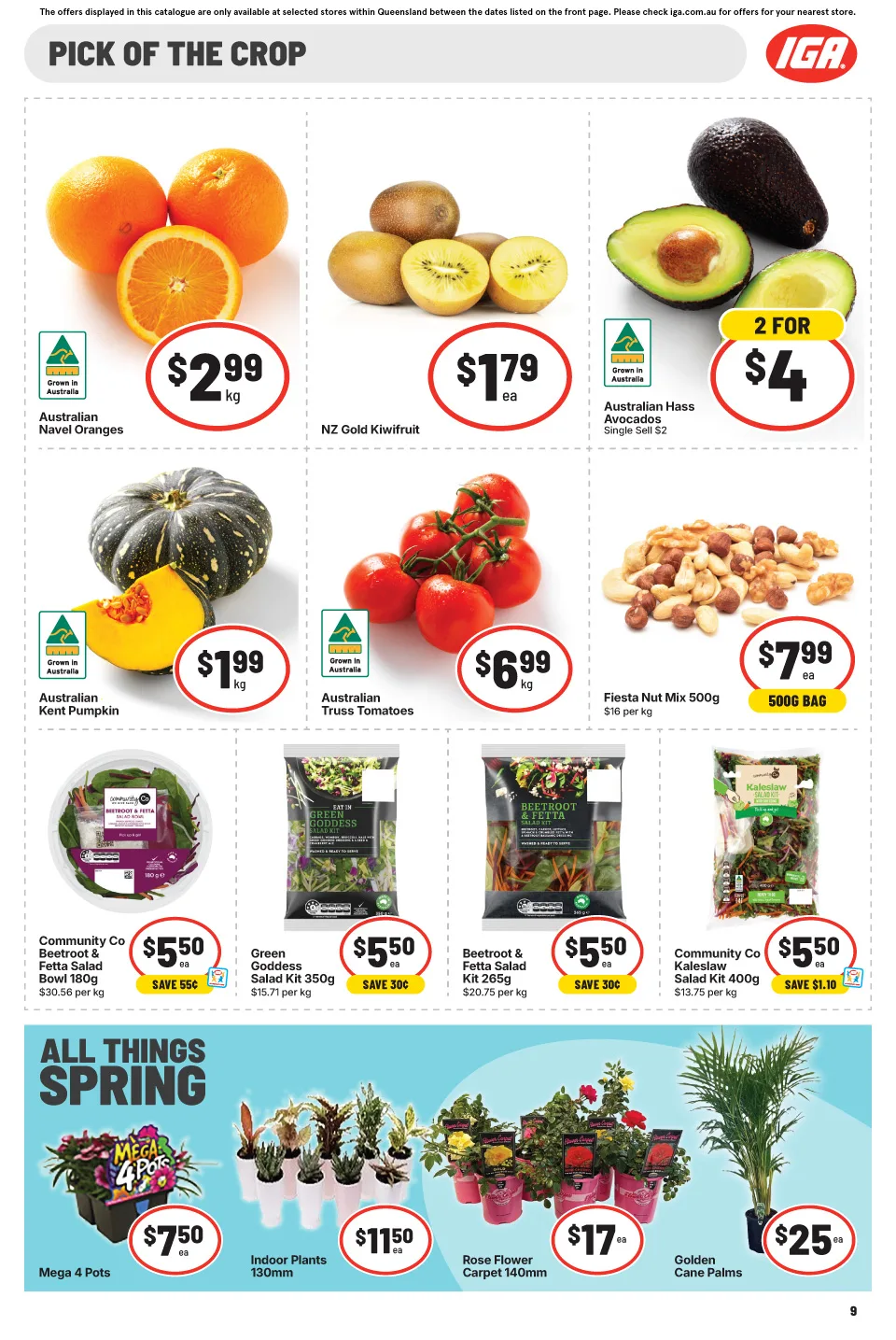 IGA IGA Catalogue — Far North Queensland — page 14