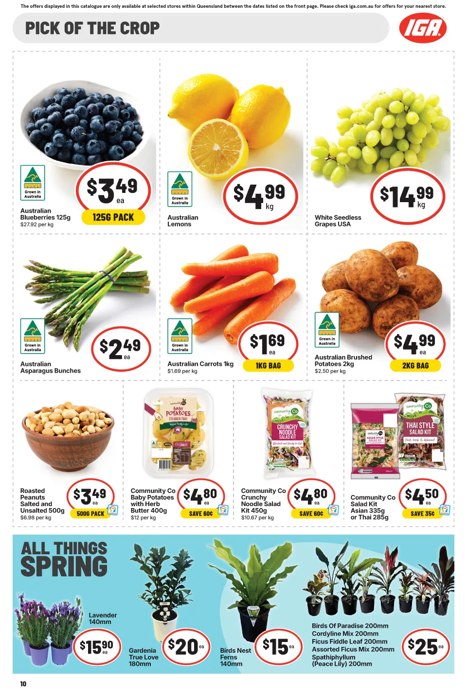 IGA IGA Catalogue — Far North Queensland — page 15