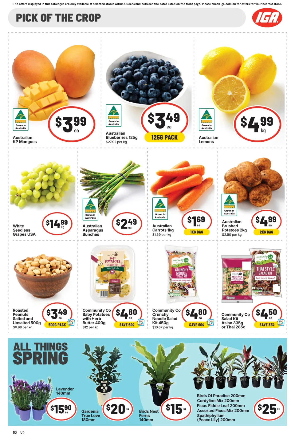 IGA IGA Catalogue — Queensland — page 20